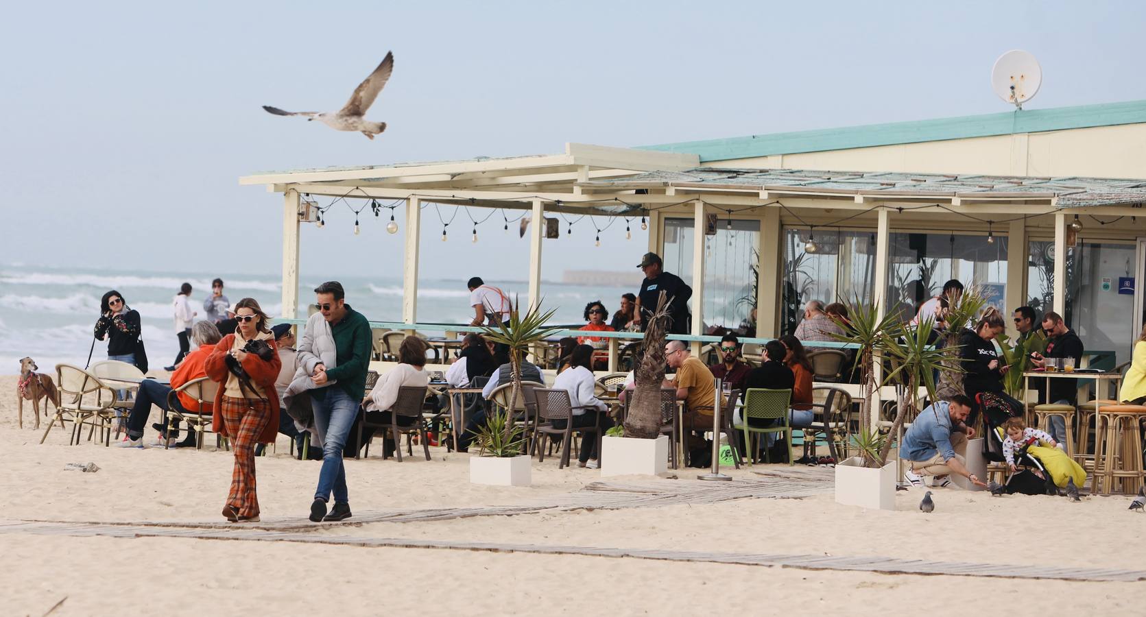 Paseos y visitas a la playa, los planes estrella de los gaditanos en primer día del año