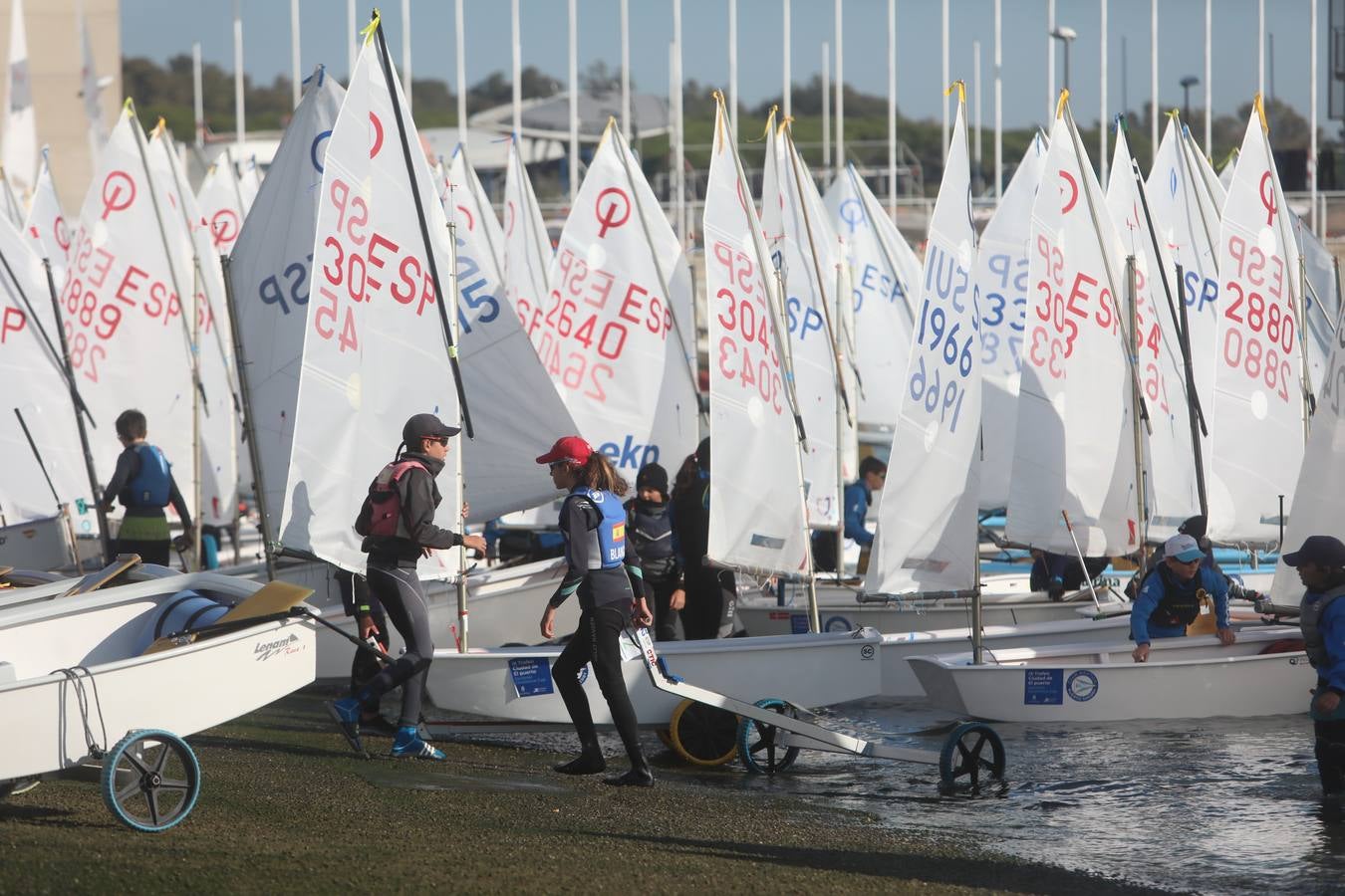 La Excellence Cup de Optimist se despide con honores de la Bahía de Cádiz