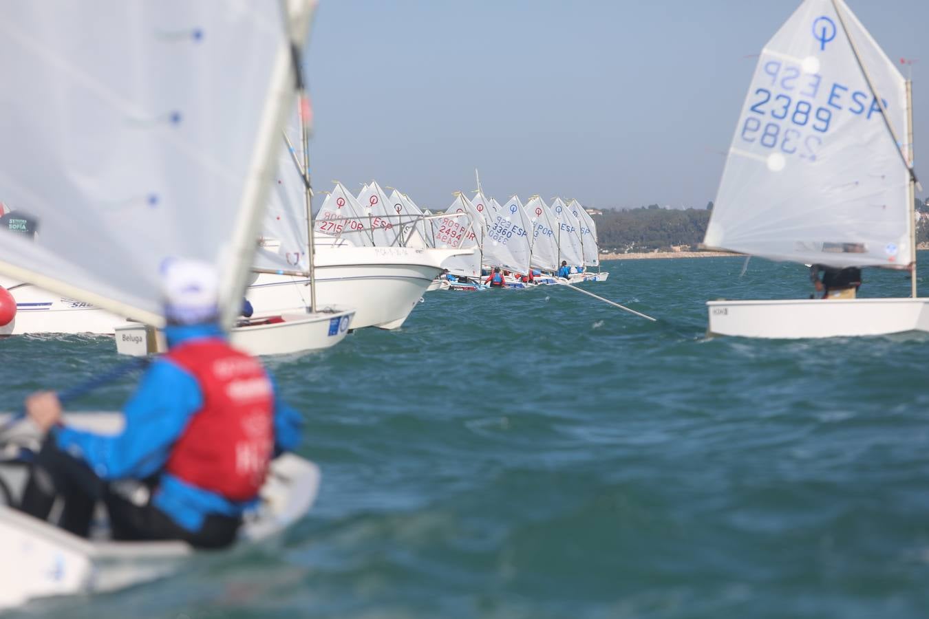 La Excellence Cup de Optimist se despide con honores de la Bahía de Cádiz