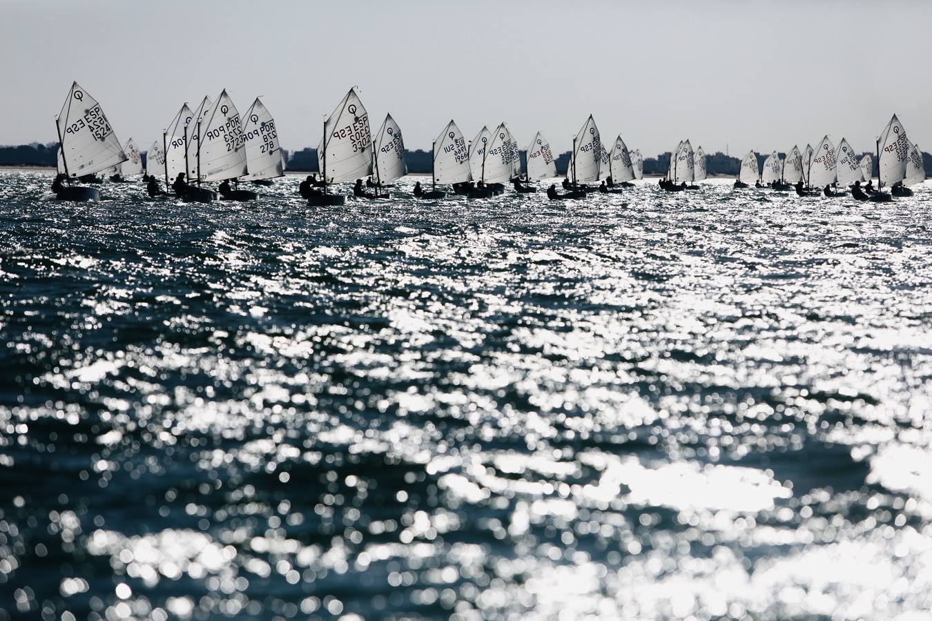 La Excellence Cup de Optimist se despide con honores de la Bahía de Cádiz