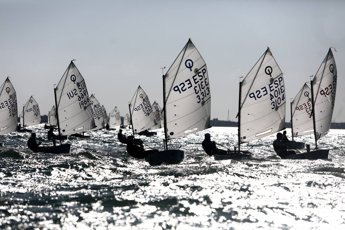 La Excellence Cup de Optimist se despide con honores de la Bahía de Cádiz