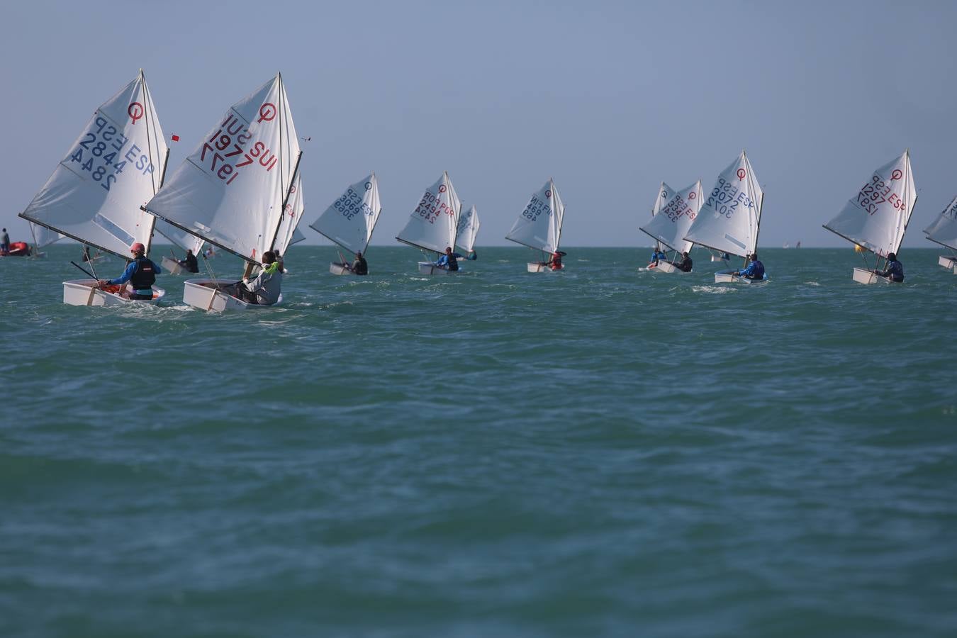 La Excellence Cup de Optimist se despide con honores de la Bahía de Cádiz