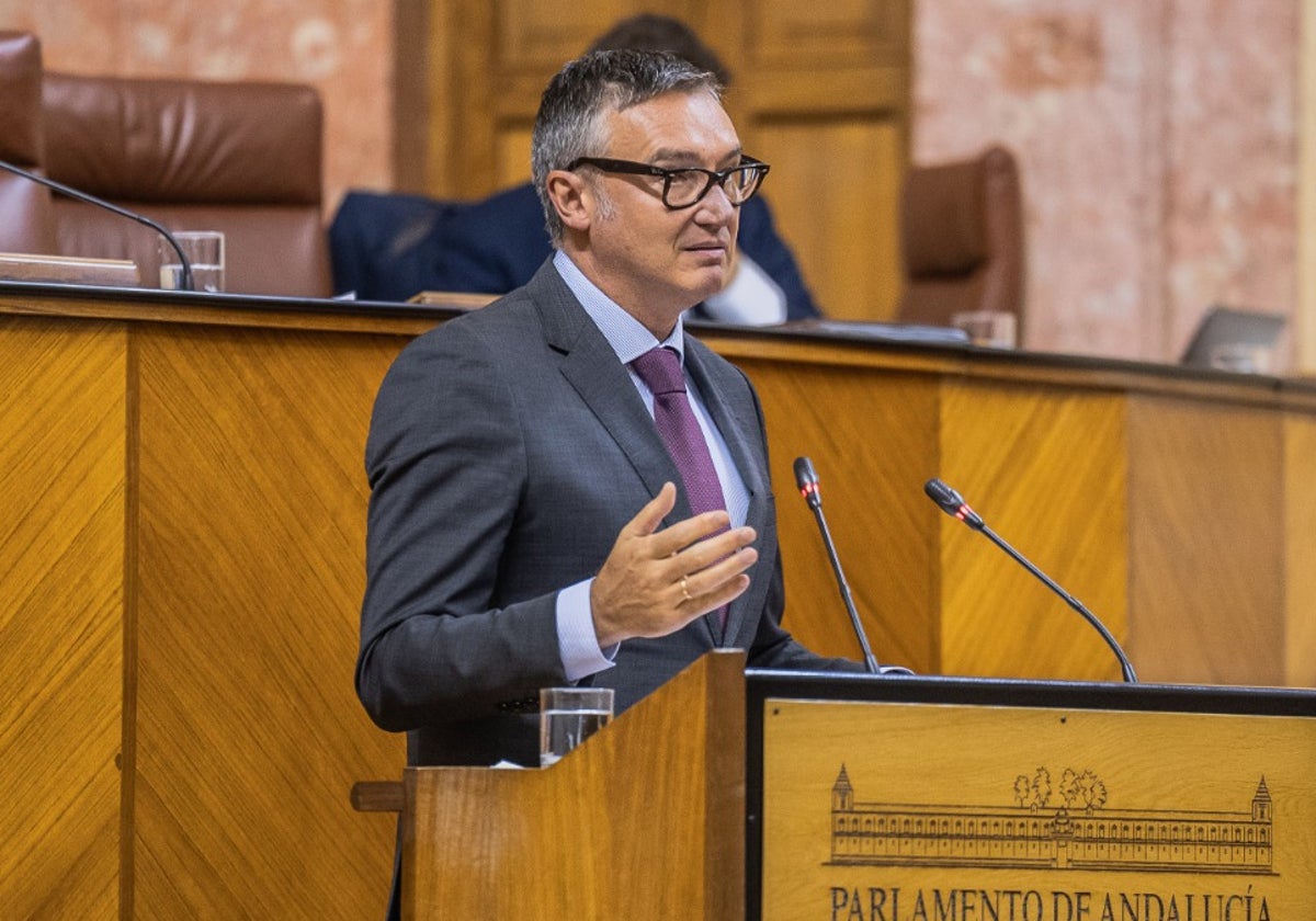 El portavoz de Vox en el Parlamento Manuel Gavira.