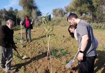 Plantan árboles para recuperar el cordel entre Zahara y El Bosque