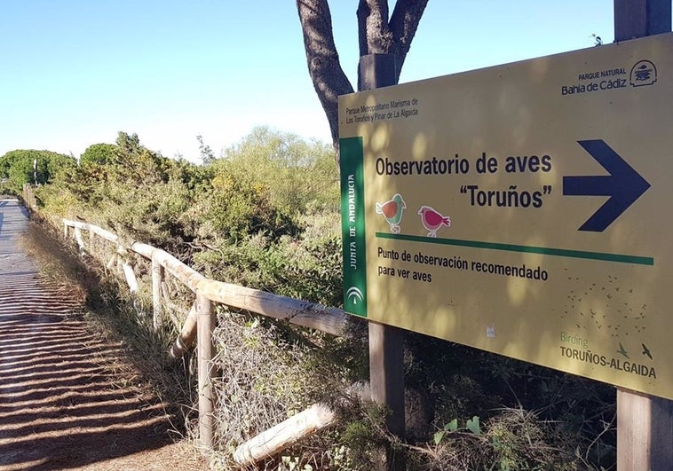 Talleres, rutas y una exposición para celebrar el Día de los Humedales en Los Toruños