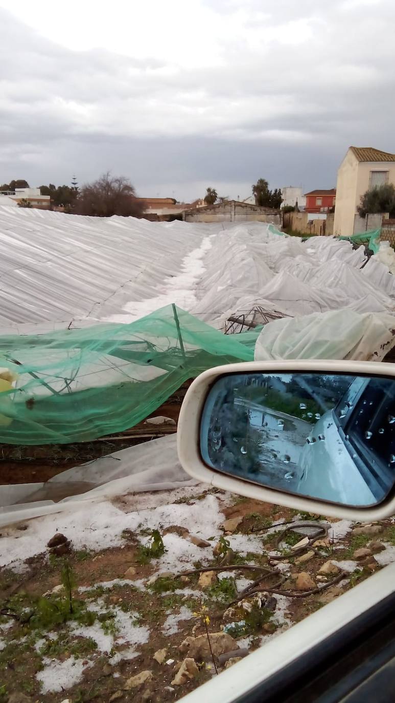 Fotos: Efectos del pedrisco de Sanlúcar en la agricultura