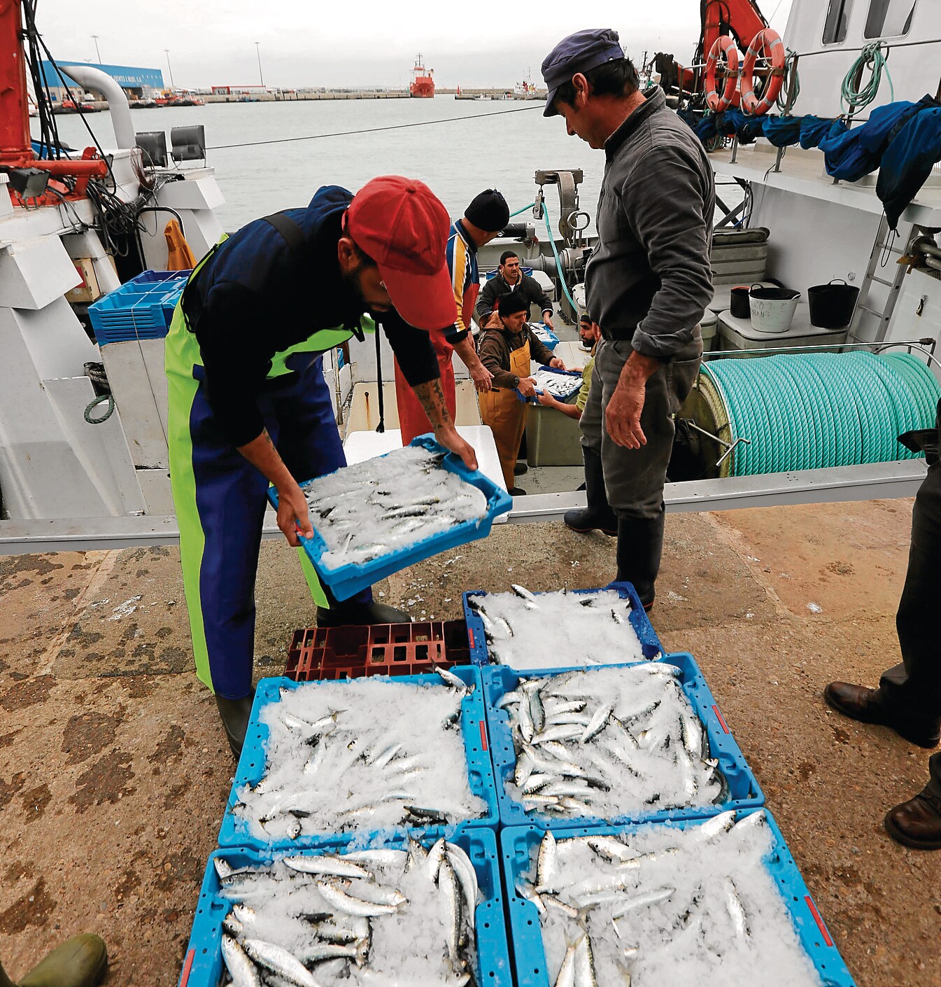 La Junta respalda la petición de adelantar a marzo la pesca de la sardina