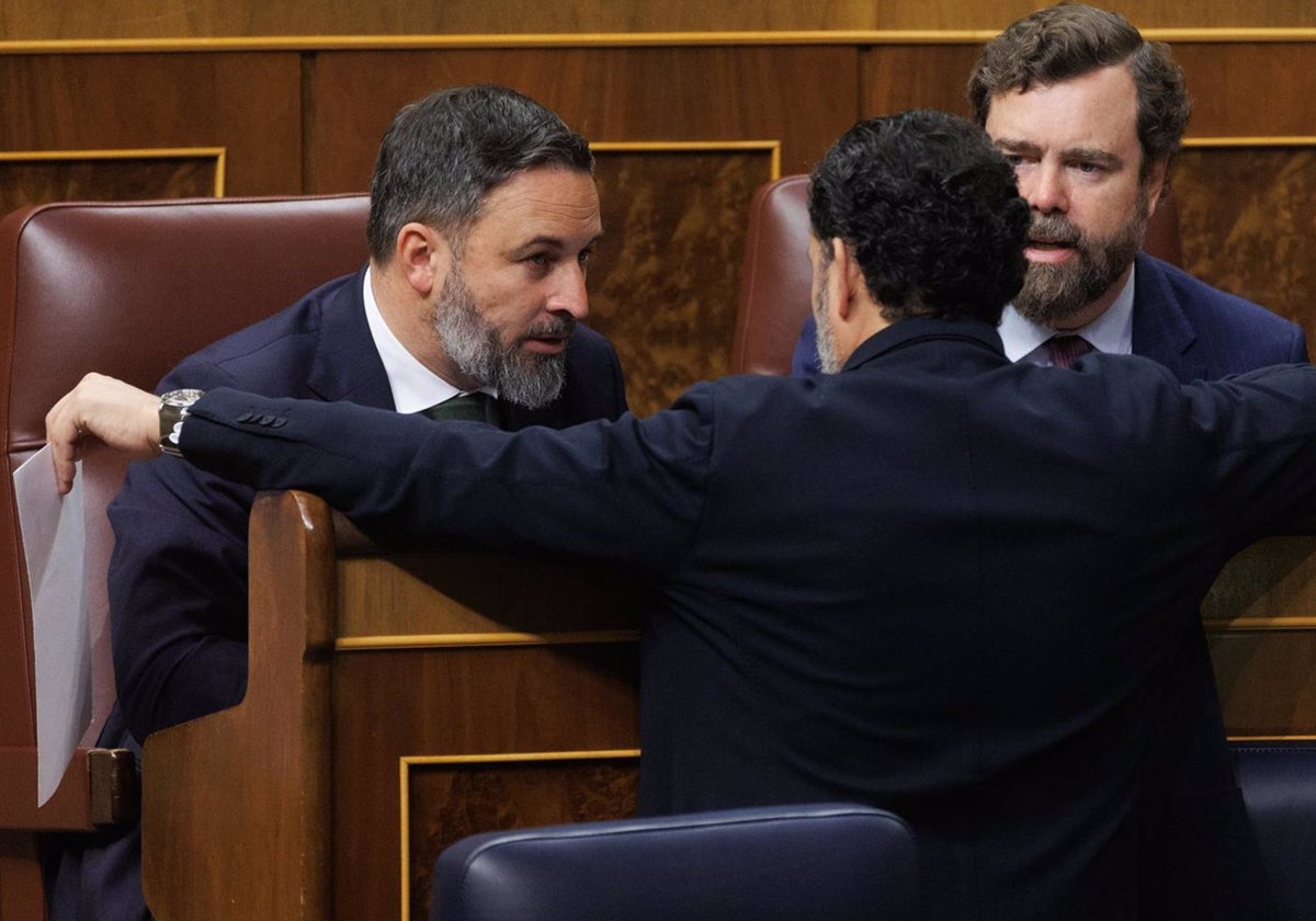 El líder de VOX, Santiago Abascal; el diputado del PP Guillermo Mariscal y el portavoz de VOX en el Congreso, Iván Espinosa de los Monteros, durante una sesión plenaria.