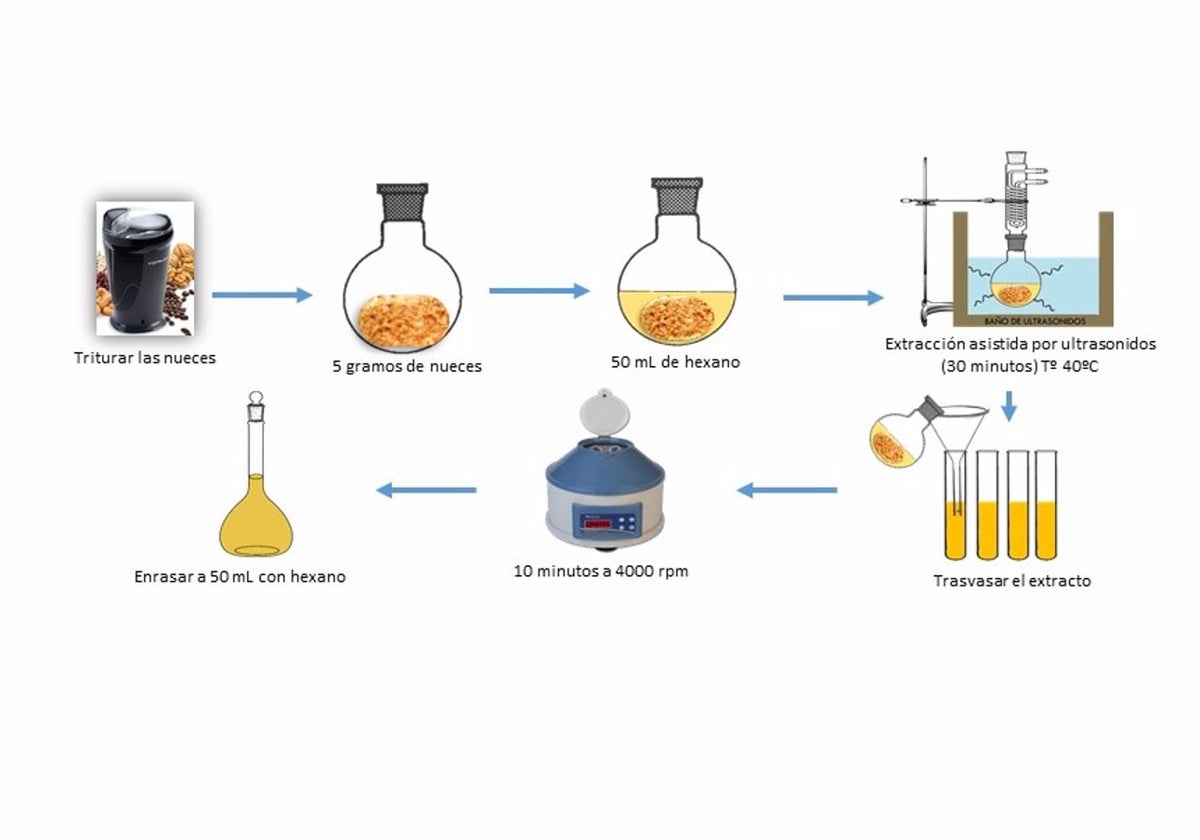 Investigadores de la UCA crean un método rápido y sostenible para evaluar la capacidad antioxidante de la nuez