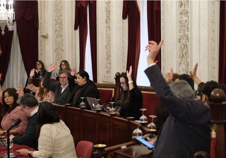 El Pleno de Cádiz aprueba prorrogar el servicio de mantenimiento y limpieza de colegios