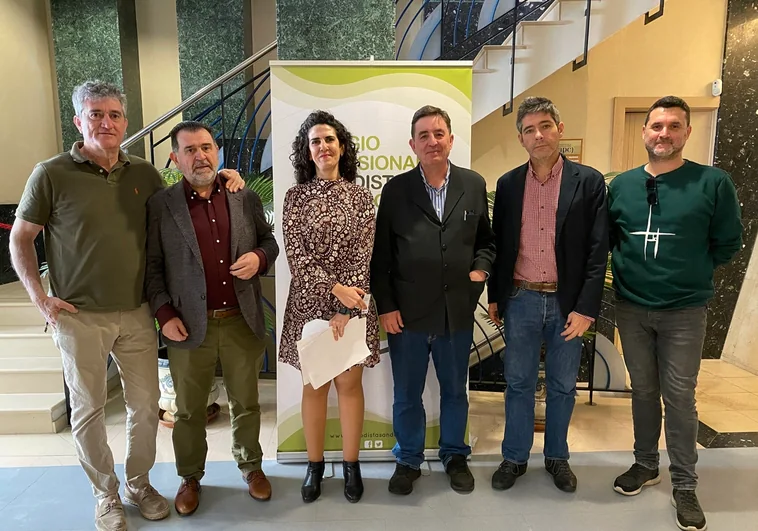 El Colegio de Periodistas presenta al Instituto Cervantes la propuesta de la candidatura de San Fernando como sede de la Conferencia Mundial de Libertad de Prensa de la Unesco