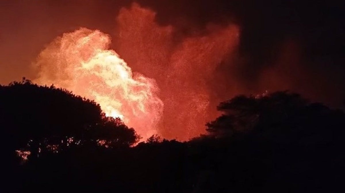 El fuerte viento provoca incendio forestal en Tarifa.