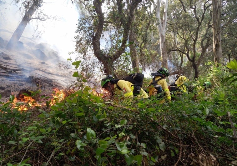 Estabilizado el incendio de Tarifa y autorizado el regreso a sus hogares de los 70 desalojados