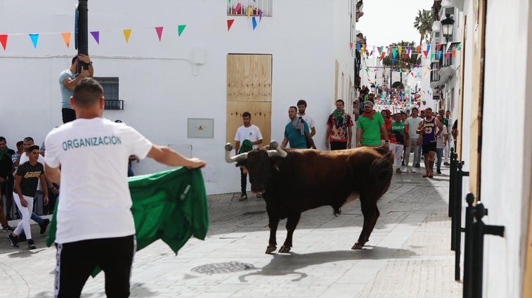 Vídeo: Vejer vive un año más su Toro Embolao