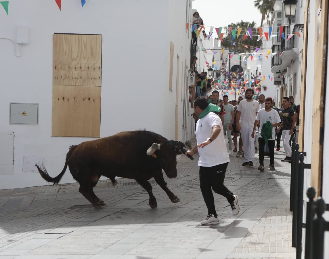 Fotos: Vejer celebra el Toro Embolao