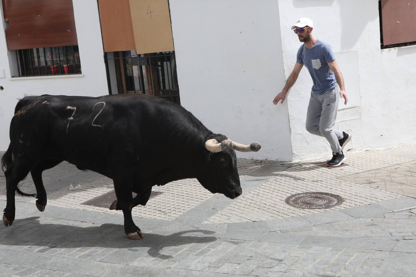 Fotos: Vejer celebra el Toro Embolao