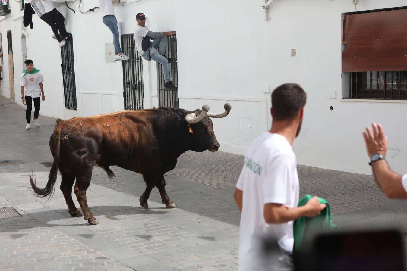 Fotos: Vejer celebra el Toro Embolao