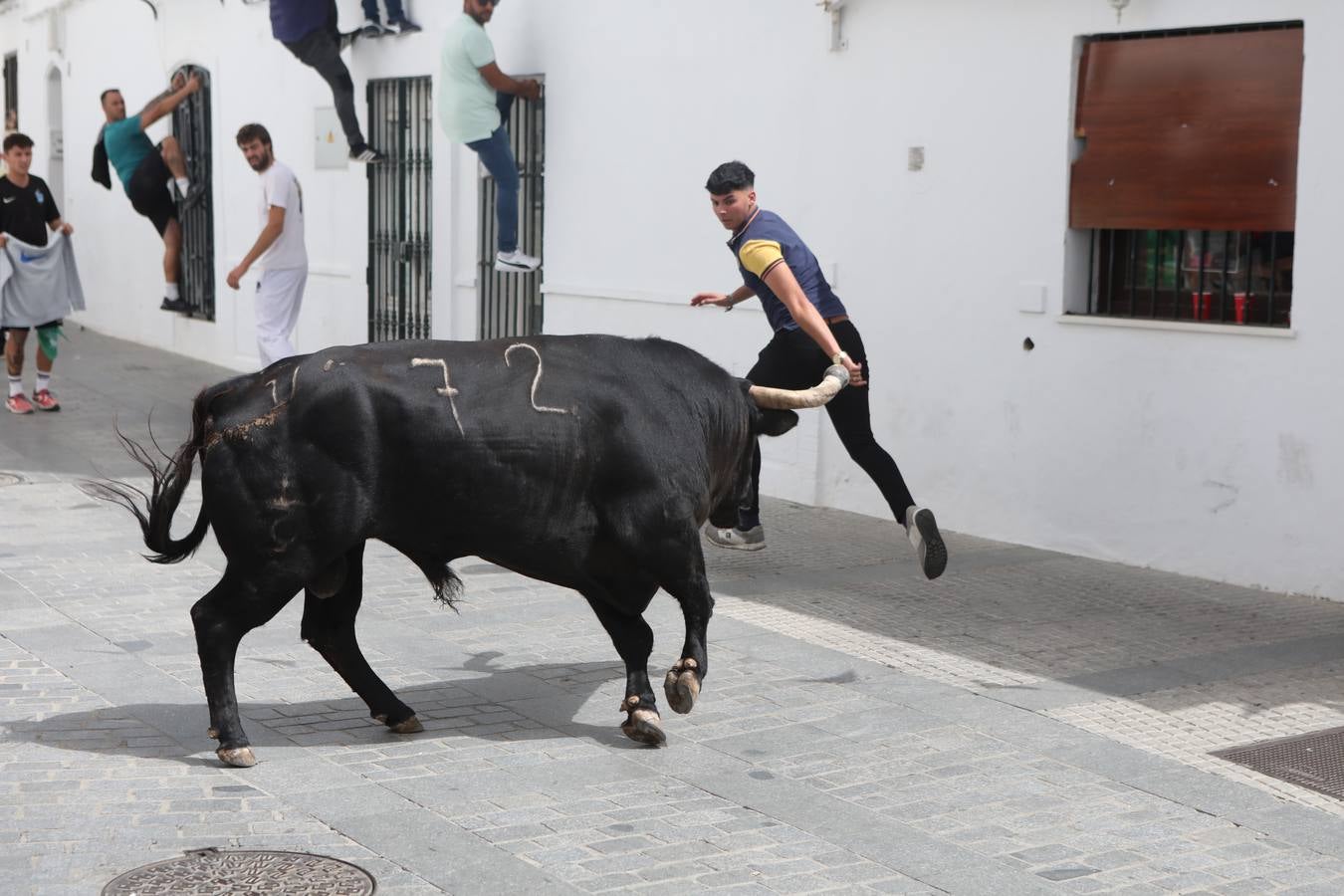 Fotos: Vejer celebra el Toro Embolao