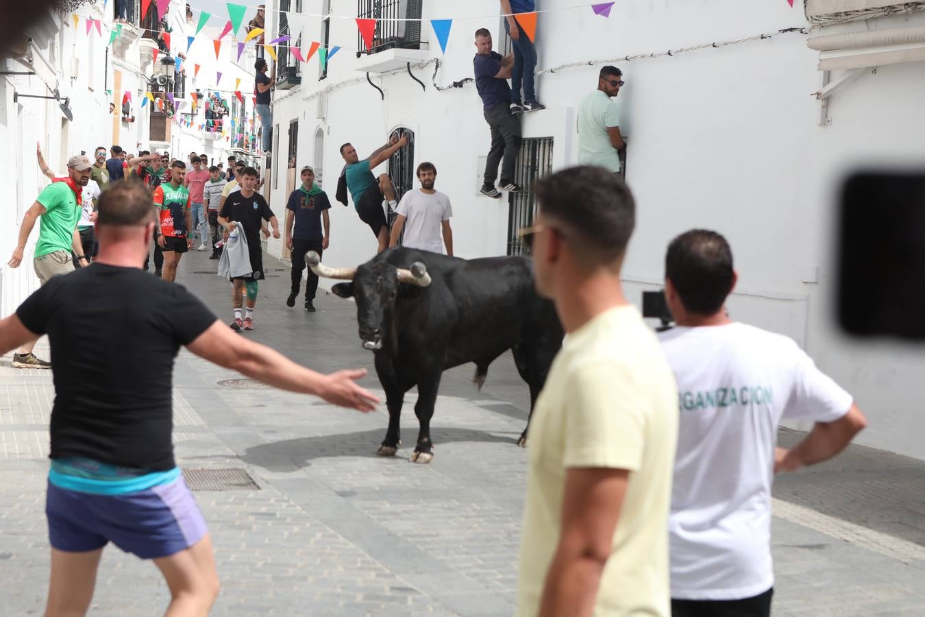 Fotos: Vejer celebra el Toro Embolao