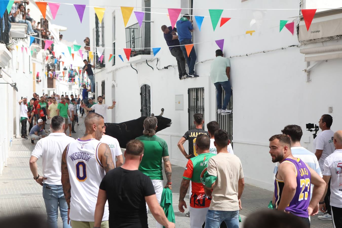 Fotos: Vejer celebra el Toro Embolao