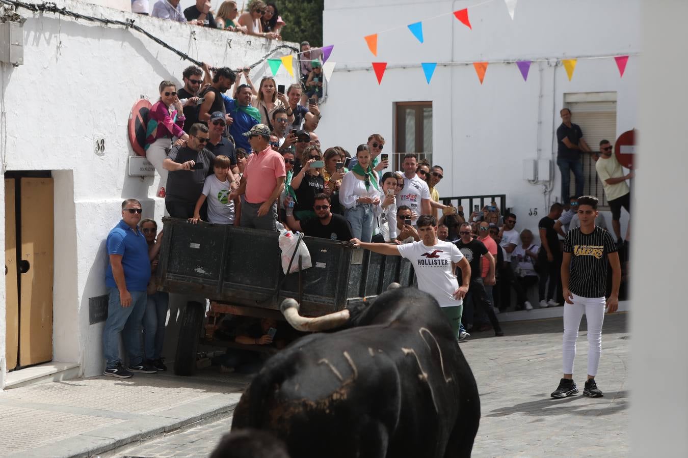 Fotos: Vejer celebra el Toro Embolao