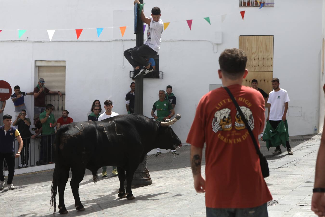 Fotos: Vejer celebra el Toro Embolao