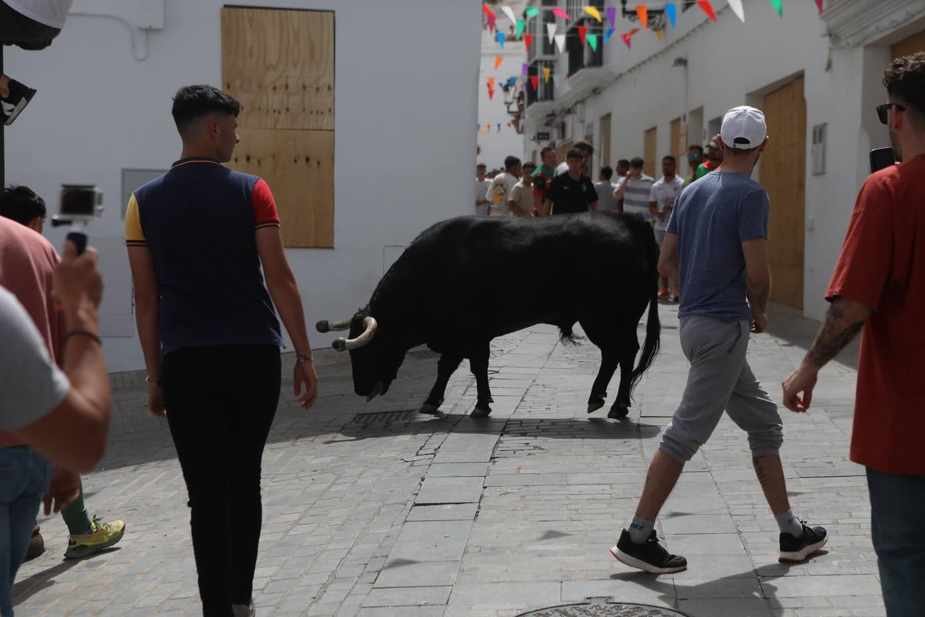 Fotos: Vejer celebra el Toro Embolao