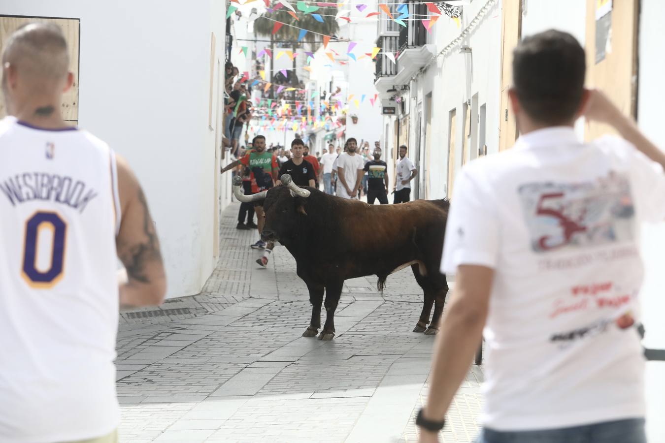 Fotos: Vejer celebra el Toro Embolao