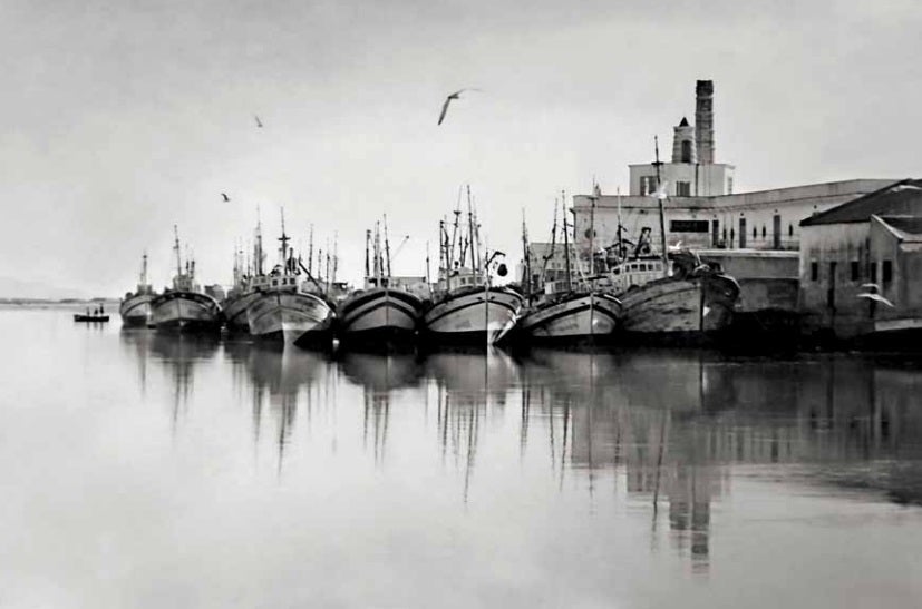 Buques pesqueros atracados junto a la vieja lonja de Barbate. Año 1970