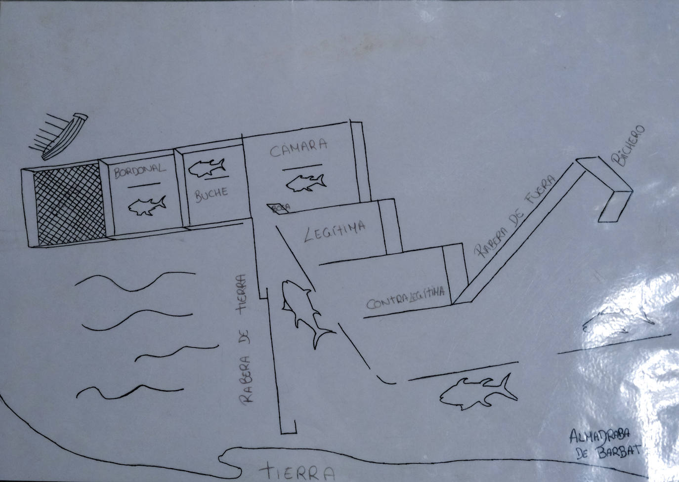 En imágenes: Dentro del Museo del Atún