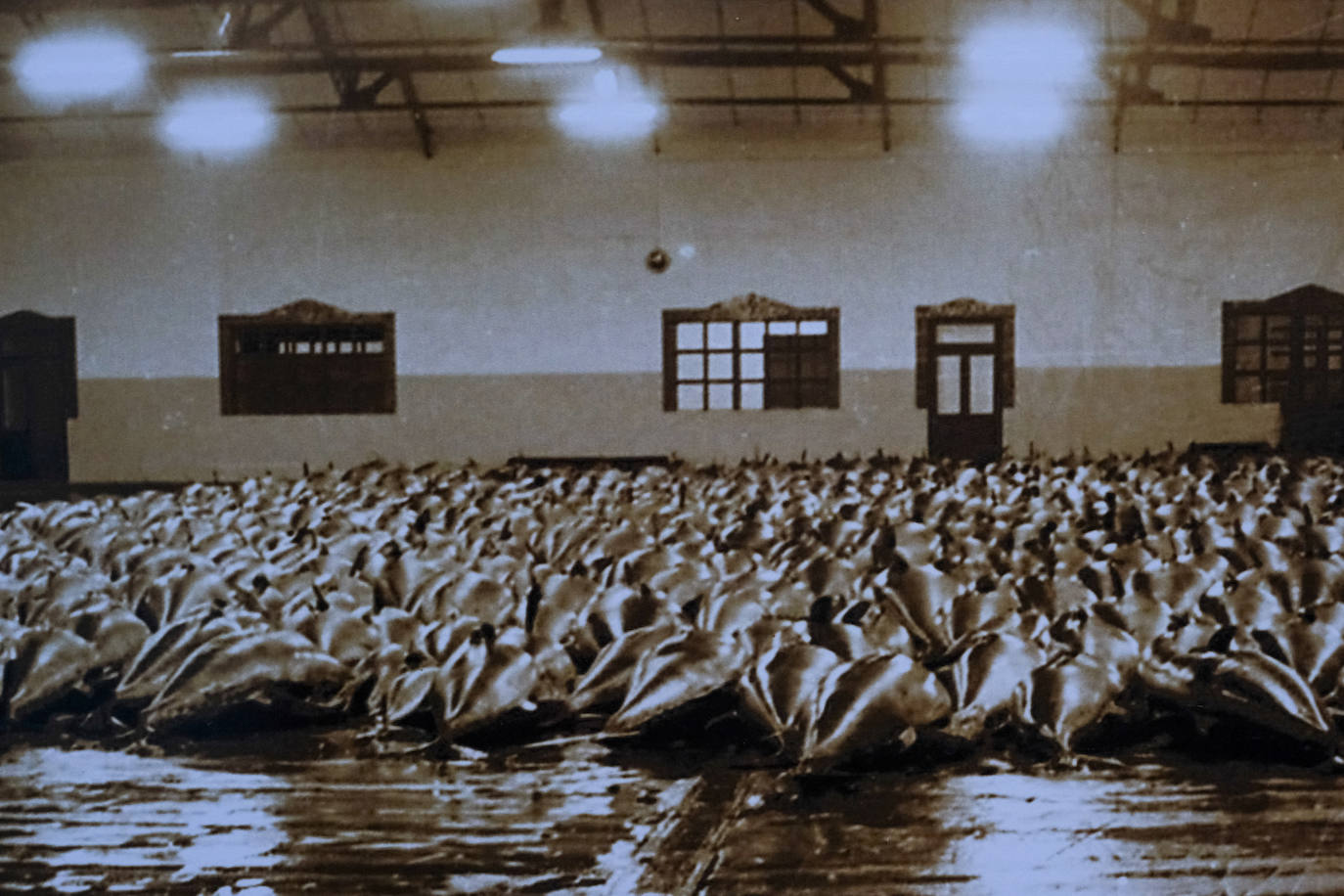 En imágenes: Dentro del Museo del Atún