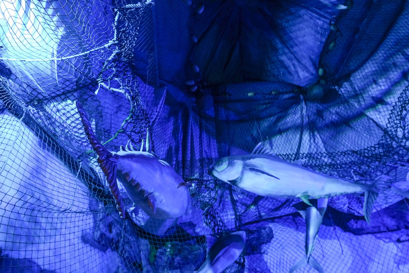 En imágenes: Dentro del Museo del Atún