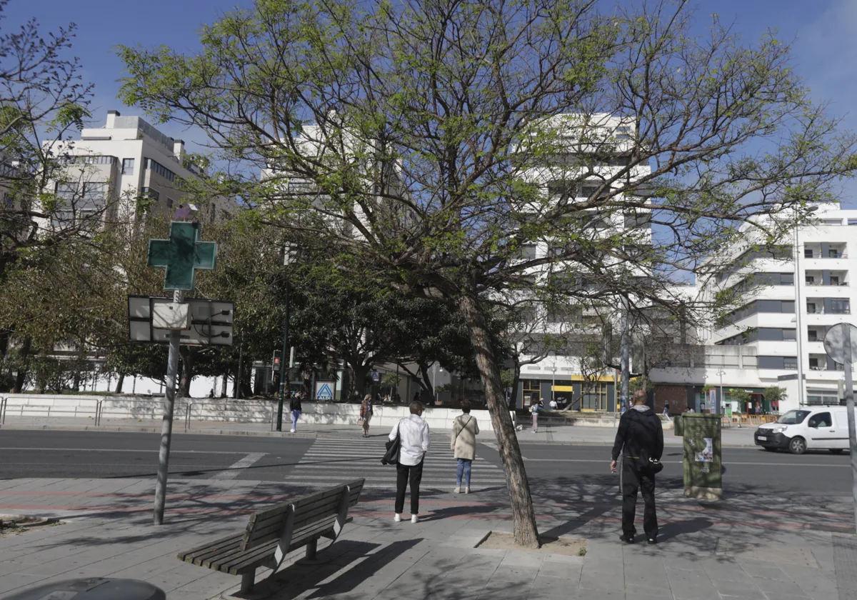 Cs pide al Ayuntamiento que colabore para que Cádiz sea una ciudad cardioprotegida