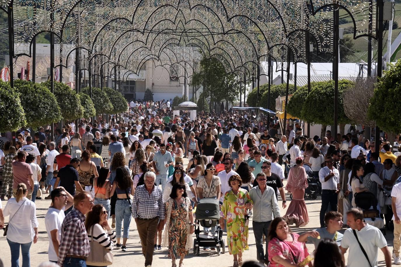 Fotos: La feria de Vejer se despide con un domingo redondo