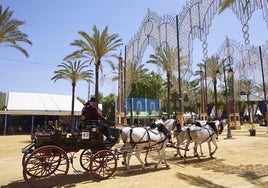 Adelante pide suspender durante las horas de más calor los paseos de caballos de la Feria de Jerez