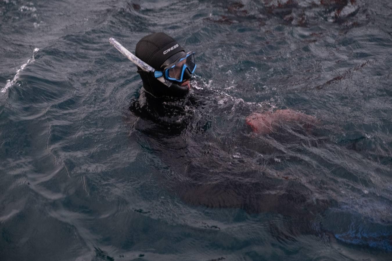 Fotos: las imágenes de una levantá de atún rojo en Cádiz