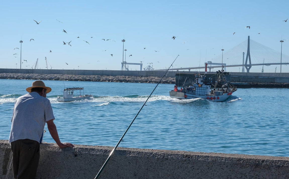 En imágenes: 24 horas en el corazón portuario de Cádiz