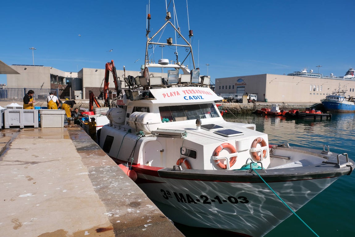 En imágenes: 24 horas en el corazón portuario de Cádiz