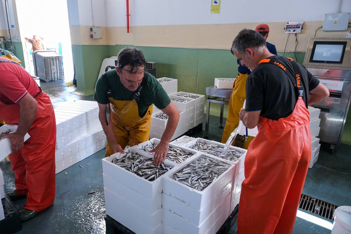En imágenes: 24 horas en el corazón portuario de Cádiz