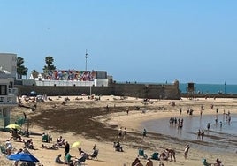 La playa de La Caleta se llena de alga invasora