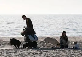 Nudismo en zonas señalizadas, espacios sin humo y acceso a perros fuera de temporada en las playas de Cádiz