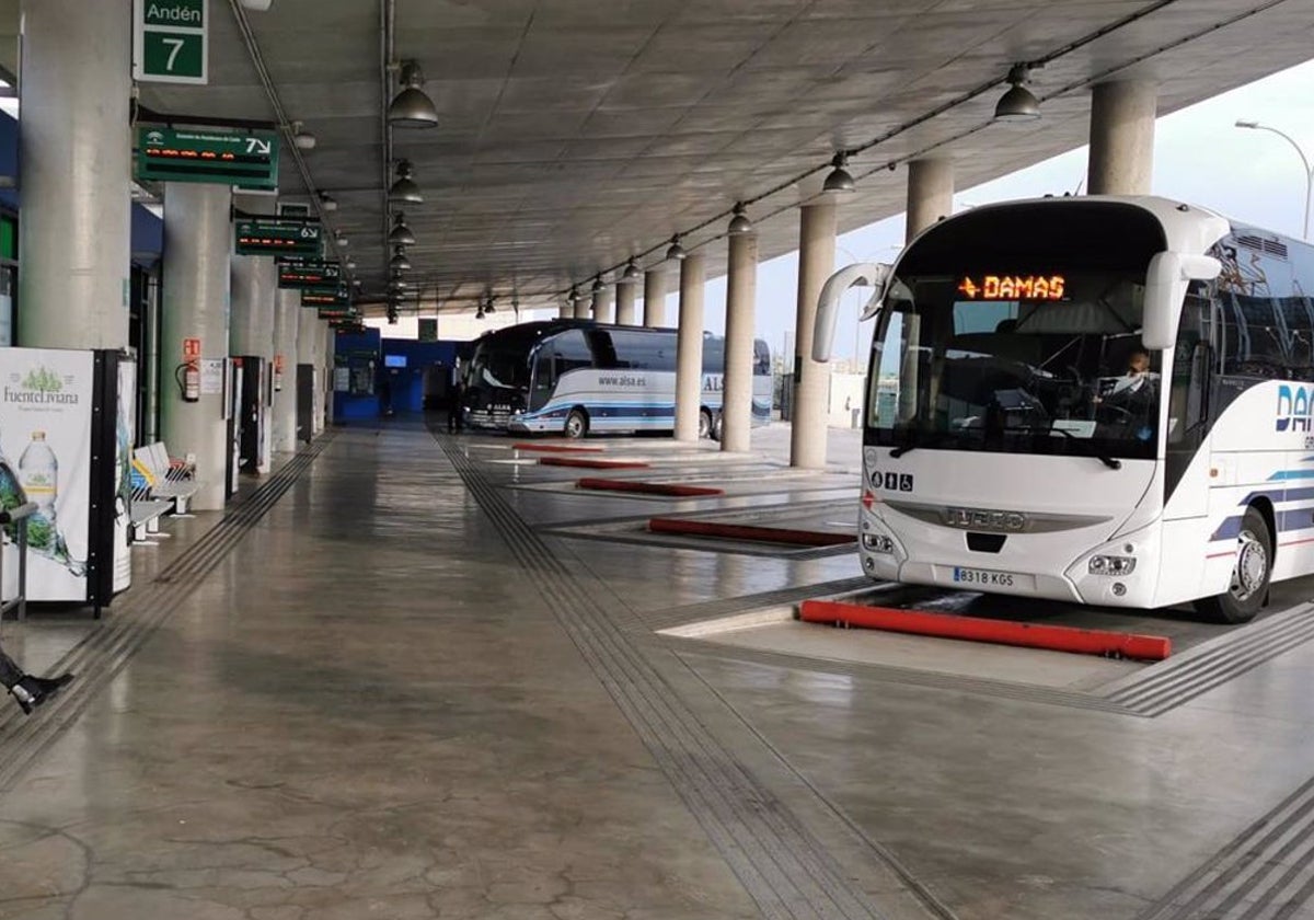 El Consorcio de Transporte de la Bahía supera las cifras prepandemia con 1,3 millones de viajes hasta marzo