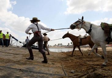 11.700 peregrinos gaditanos harán el camino del Rocío