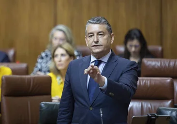 Sanz pide a Ribera «que se disculpe por los insultos» tras «el ridículo del PSOE» con el proyecto de Trebujena