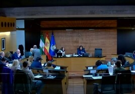 El Ayuntamiento de San Fernando aprueba los Presupuestos en un Pleno de debate electoral