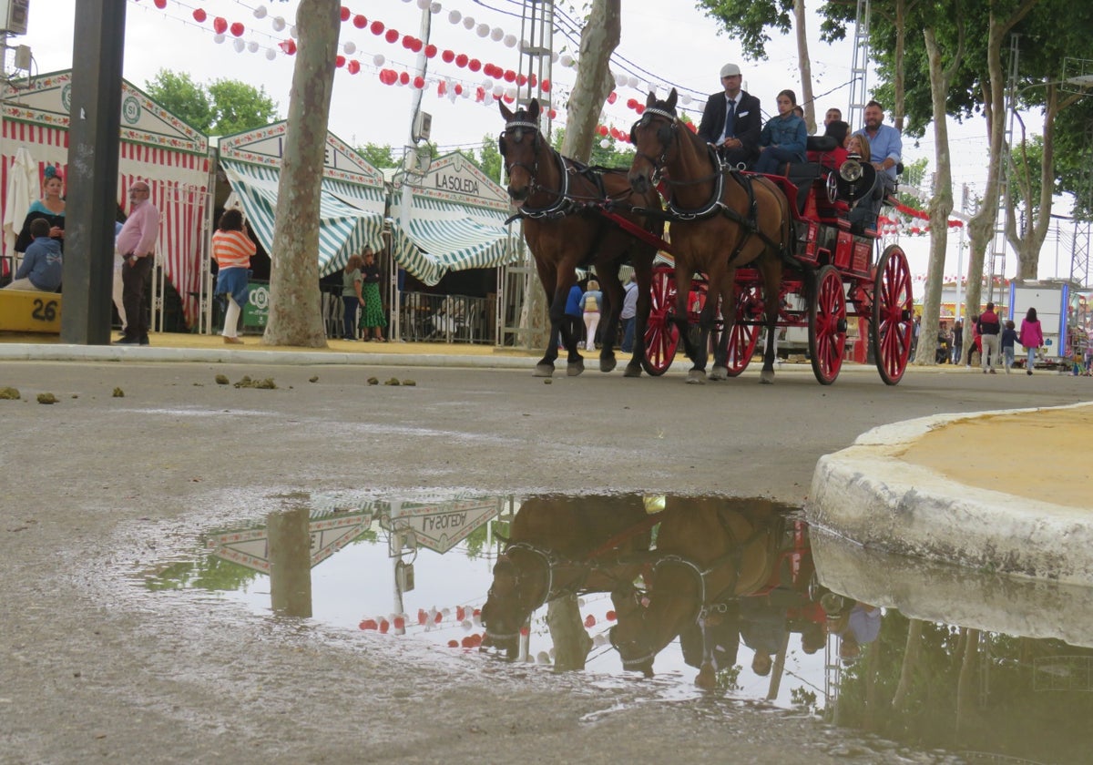 Domingo de Feria pasado por agua