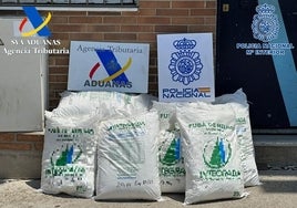 Incautan en Algeciras más de 300 kilos de cocaína ocultos entre sacos de palomitas de maíz