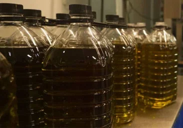 Estas son las once marcas de aceite de oliva adulterado y que están siendo investigadas por la Guardia Civil