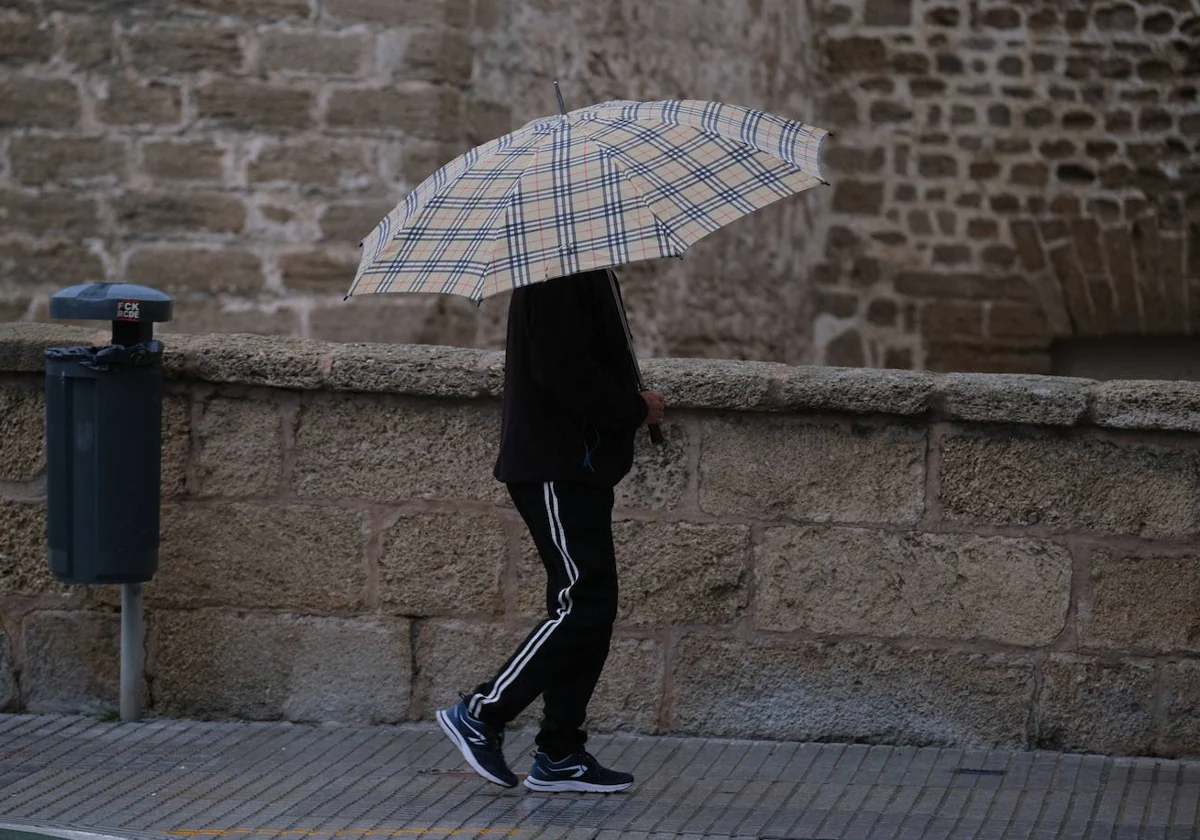 La lluvia seguirá en Cádiz toda la semana.