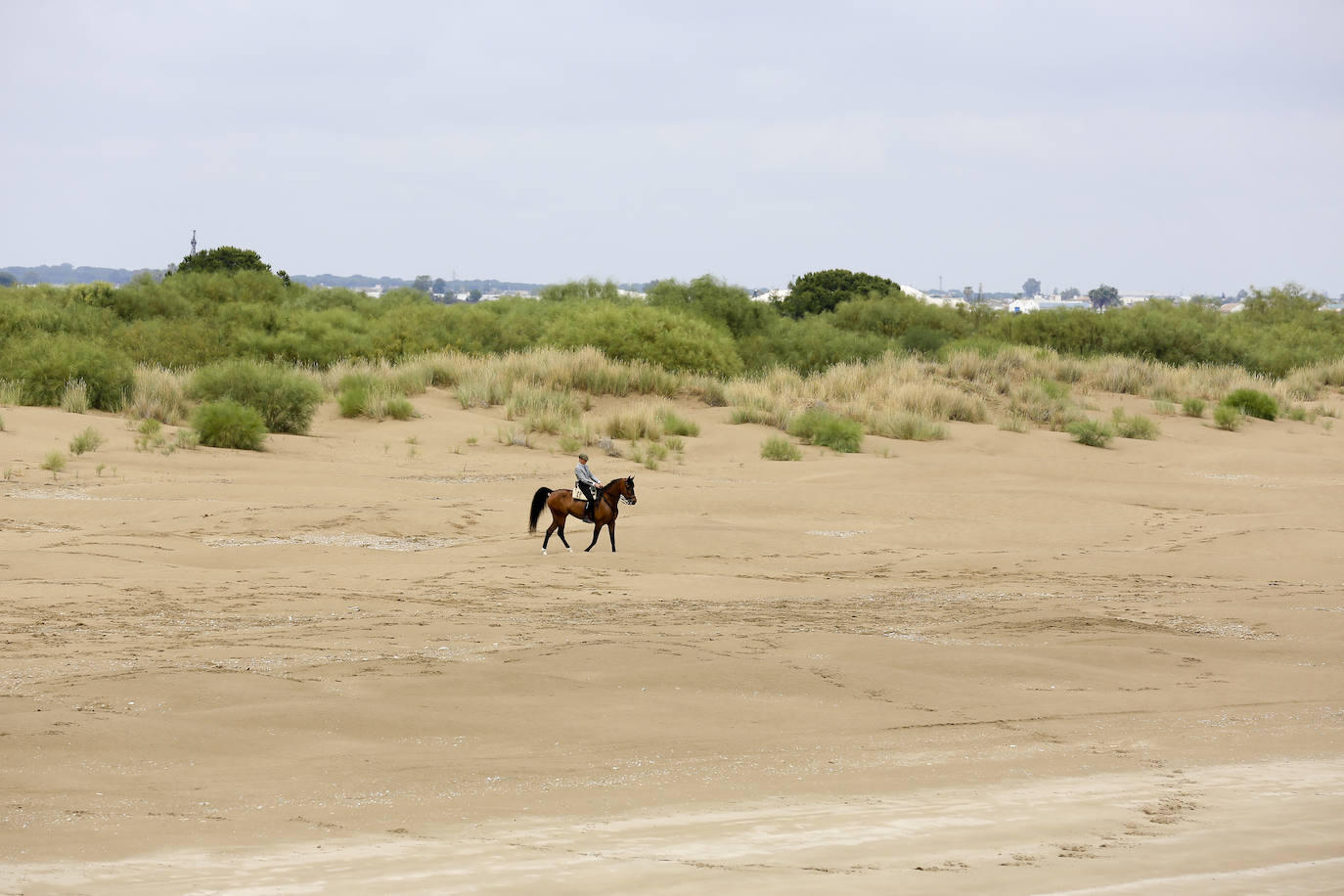 Fotos: Cádiz comienza la peregrinación a la aldea de El Rocío